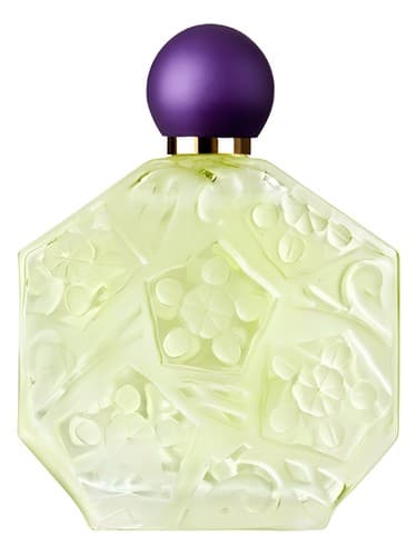 Fleurs d'Ombre/Violette - Menthe - فلورز دومبره ویولت مانت