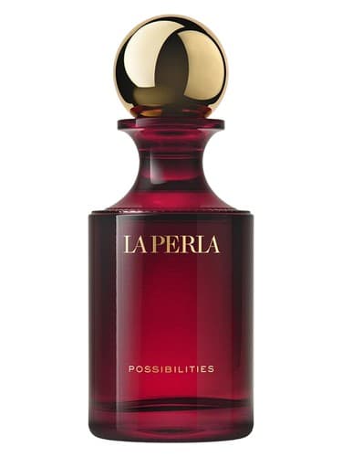 Possibilities - پاسیبیلیتیز