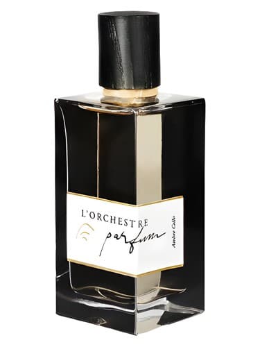 Ambre Cello - آمبر چلو