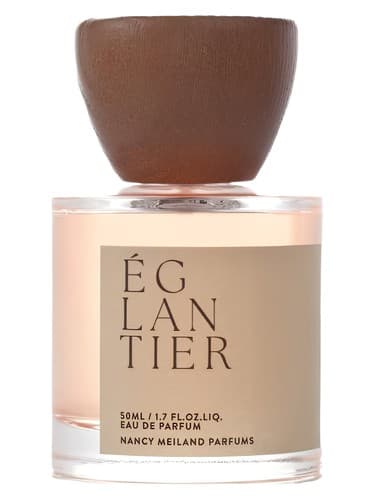 Églantier