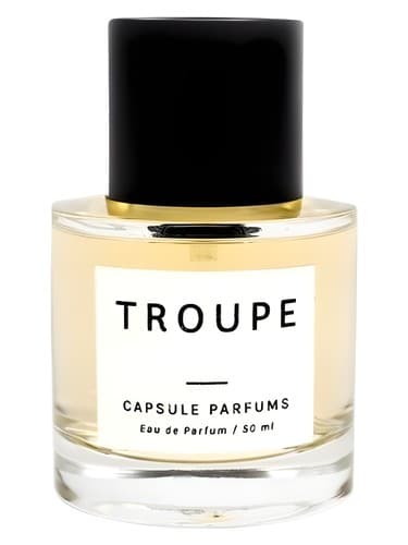 Troupe - گروه