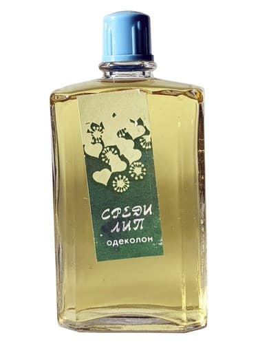 Among the linden trees - Среди лип - در میان درختان نمدار - Среди лип