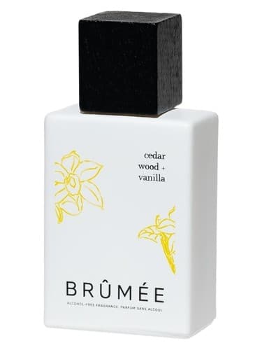 Cedar Wood + Vanilla - وود سدر + وانیلا