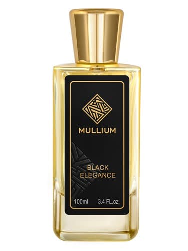 black elegance - ظرافت بلک