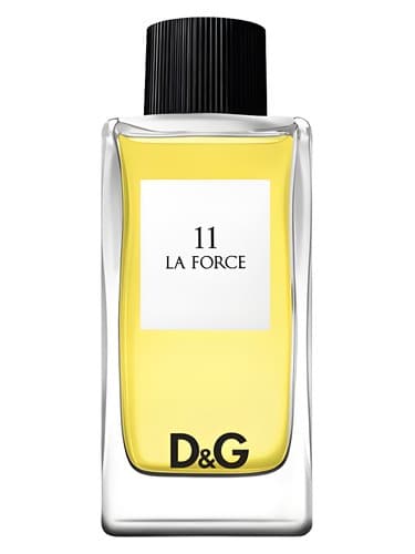 D&G Anthology La Force 11 - دی اند جی آنتولوژی لا فورس 11