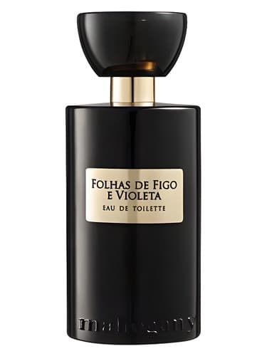 Folhas de Figo e Violeta