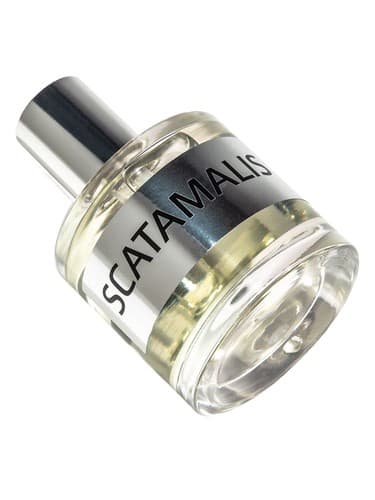 JD Scatamalis Base