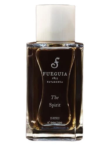 The Spirit - روح