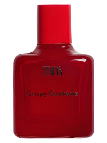 Crispy Gardenia - گاردنیا ترد