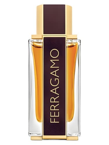 Ferragamo Spicy Leather - فراگامو اسپایسی لدر