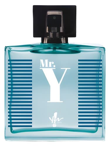 Mr. Y - آقای ی