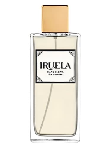 Citrus Inspiration - الهام از مرکبات