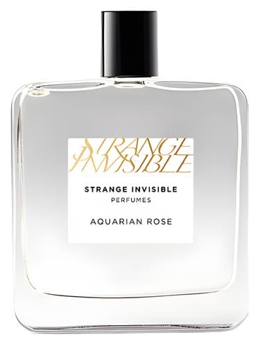 Aquarian Rose - رز دلو