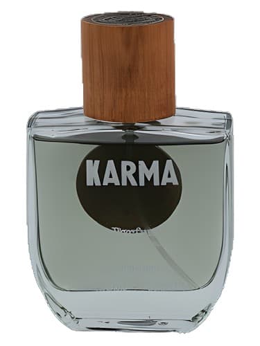 Karma - کارما
