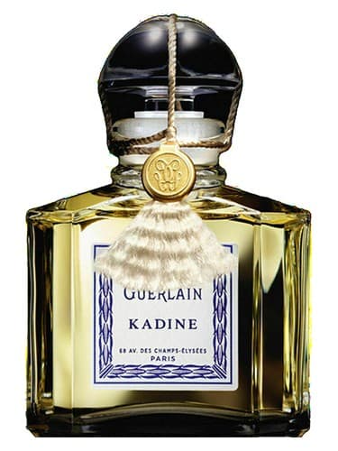 Kadine (2021) - کادین (2021)