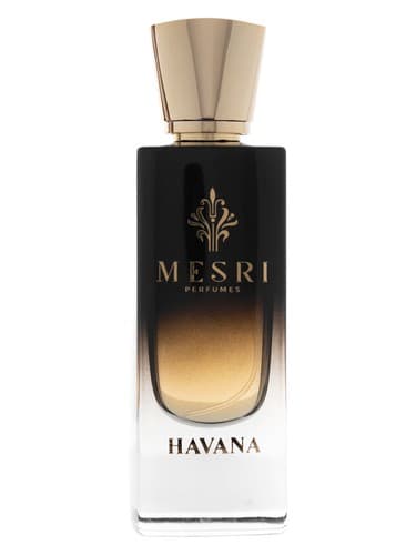 Havana - هاوانا