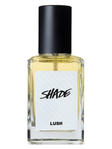 Shade - شید