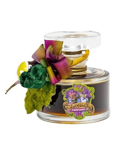 Pangolin Violette Rose