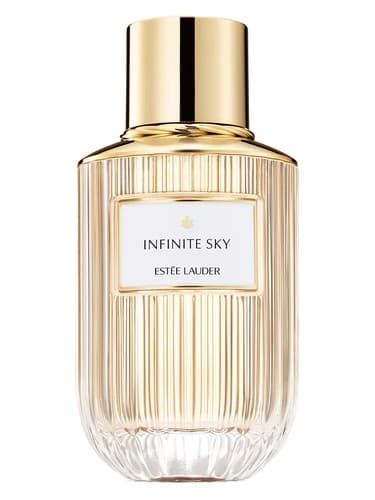 Infinite Sky - اینفینیت اسکای