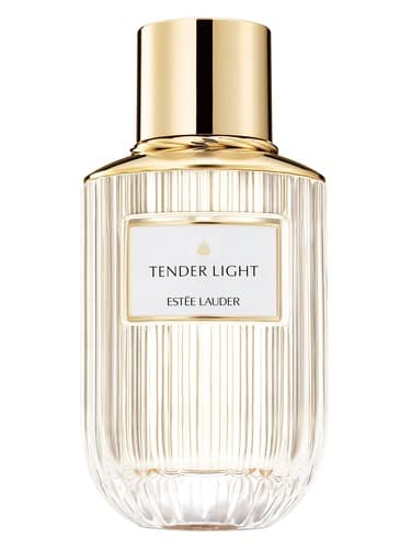 Tender Light - تندر لایت