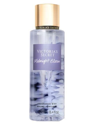 Midnight Bloom - میدنایت بلوم