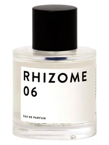 Rhizome 06 - ریزوم 06