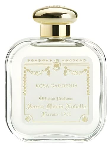 Rosa Gardenia - روزا گاردنیا