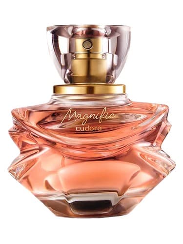 Magnific - مگنیفیک