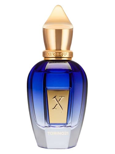 Torino21