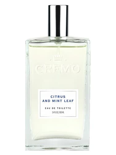 Citrus and Mint Leaf - سیتروس اند مینت لیف