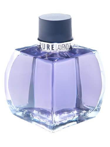 Pure Lavender - اسطوخودوس پیور