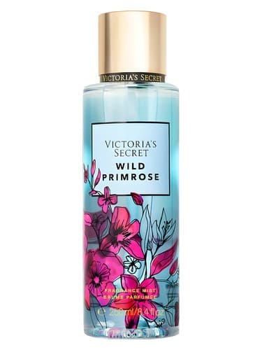 Wild Primrose - پامچال وایلد