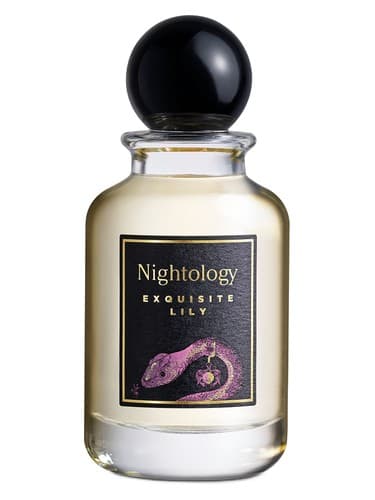 Exquisite Lily - اکسکوئیزیت لیلی