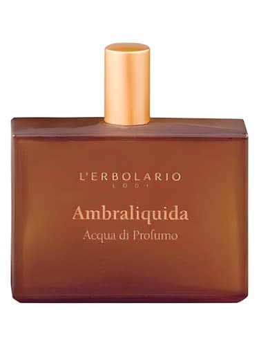 Ambraliquida - امبرالیکوییدا