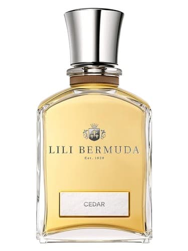 Cedar - سدر