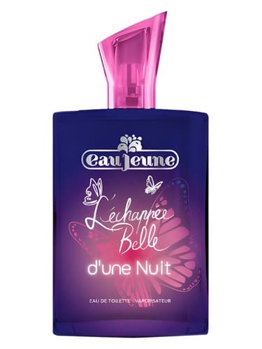 L'Échappée Belle d'une Nuit 