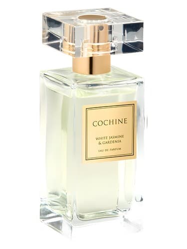 White Jasmine & Gardenia - یاس وایت و گاردنیا