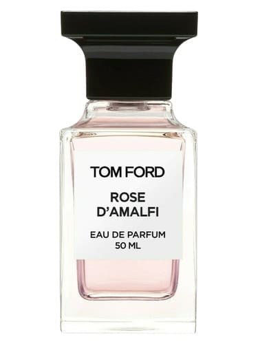 Rose D'Amalfi - رز دامالفی