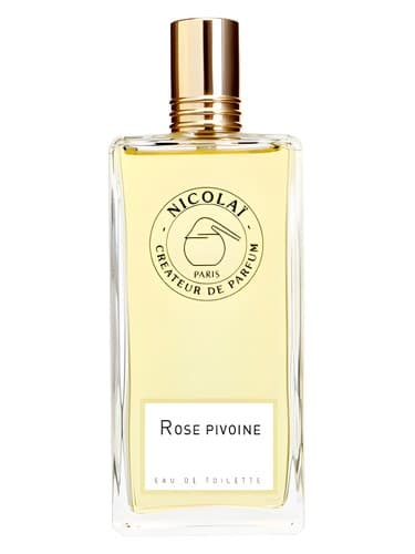 Rose Pivoine