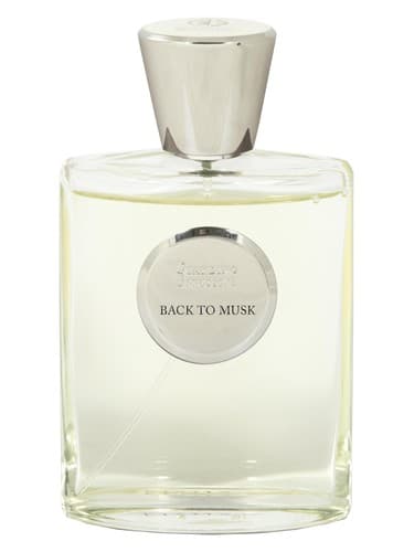 Back To Musk - بک تو ماسک