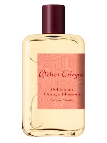 Bohemian Orange Blossom
