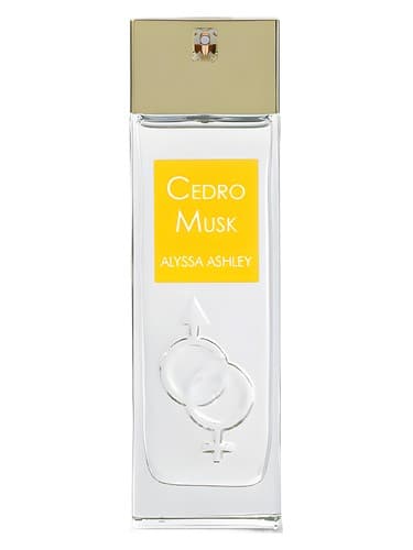 Cedro Musk Eau de Parfum - ادو پرفیوم سدرو ماسک