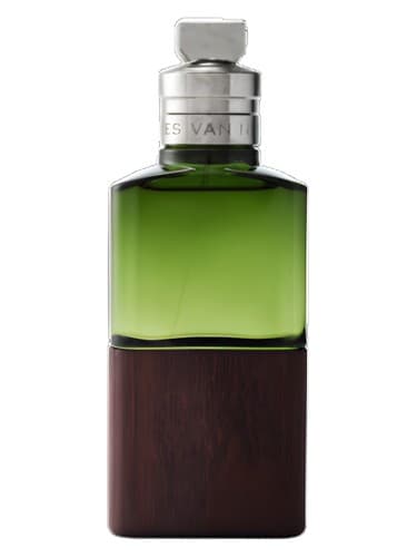 Cannabis Patchouli - کانابیس پاتچولی