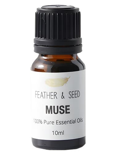 Muse - میوز