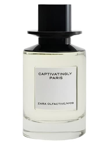 Captivatingly Paris