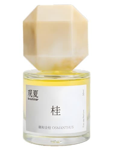 Osmanthus 颐和金桂 - اوسمانتوس یی هه جین گوی