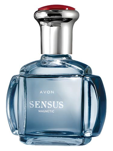 Sensus Magnetic - حس مغناطیسی