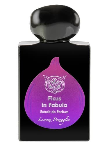 Ficus in Fabula - Limited Edition - فیکوس این فابولا لیمیتد ادیشن