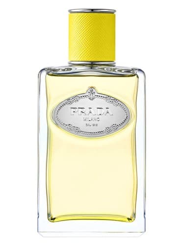 Infusion d'Ylang - اینفیوژن دیلانگ