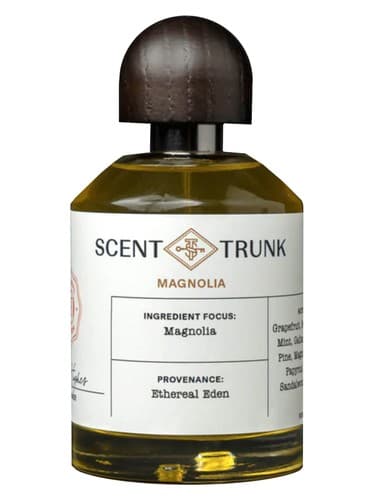 Magnolia - مگنولیا
